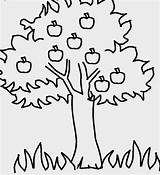 Pohon Mewarnai Apel sketch template