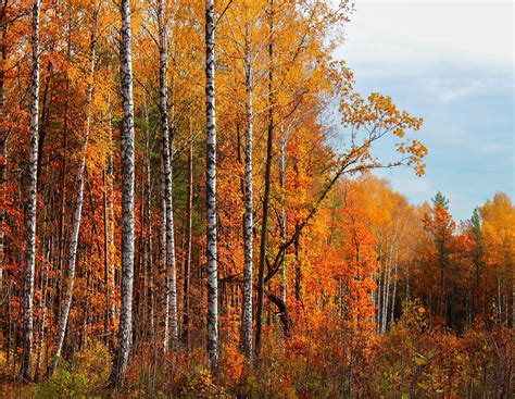 stunning photos of russia s golden fall russia beyond