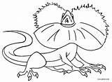 Lizard Frilled Cool2bkids sketch template