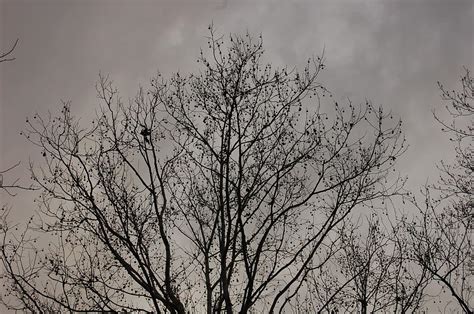 grey skies photograph  sabrina cowan fine art america