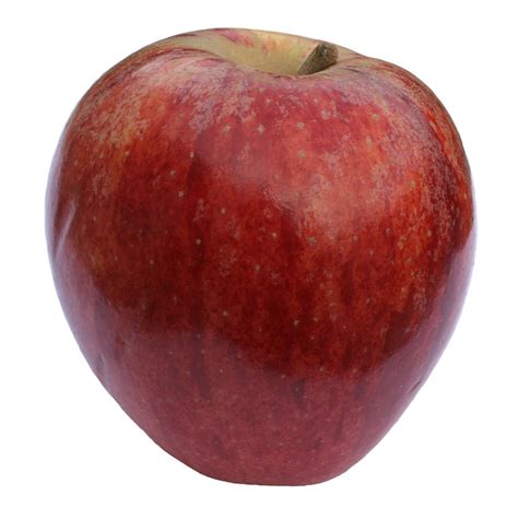 apple red  photo  freeimages