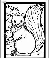 Ecureuil Coloriage Animaux Colorier Squirrel Pages Volwassenen Dieren Herfst Acorn Groep Squirrels Automne sketch template