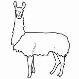 Llama Prob sketch template