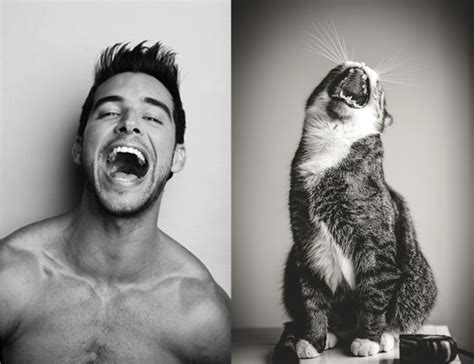 anorak news des hommes et des chatons male models