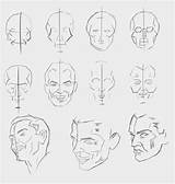 Face Loomis Structure sketch template
