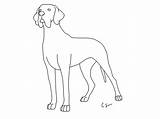 Coloring Dane Great Pages Dog Printable Clipart Library Kids Pdf Coloringhome Popular Line sketch template