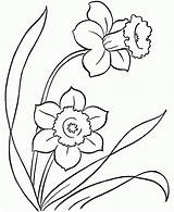 Coloring Pages Flower Simple Popular sketch template