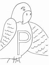 Coloring Pages Parrot Alphabet Letter Parrots Case Color Online Printable Easily Print Coloringpagebook Advertisement sketch template