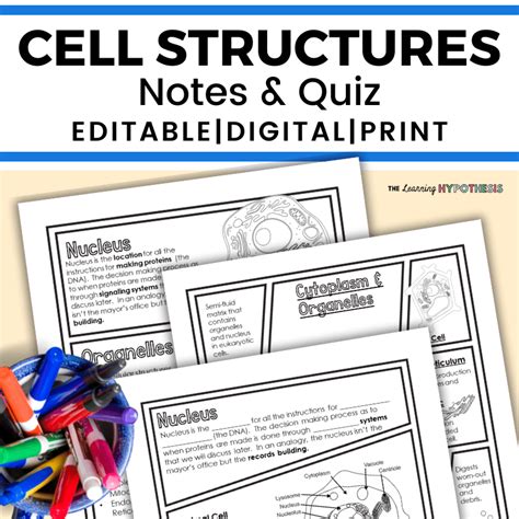 cell structure  function worksheet  learning hypothesis
