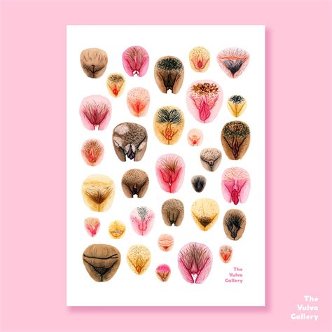 Art Print • Vulva Variations Ii — The Vulva Gallery
