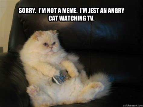 Sorry I M Not A Meme I M Jest An Angry Cat Watching Tv