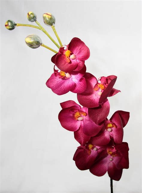 artificial silk phalaenopsis orchid single stem just artificial