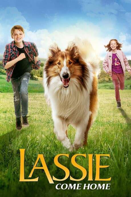 ‎lassie come home 2020 directed by hanno olderdissen reviews film