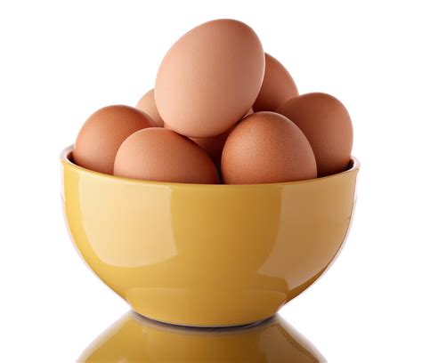 fatos  voce deve saber sobre os ovos revista cariri