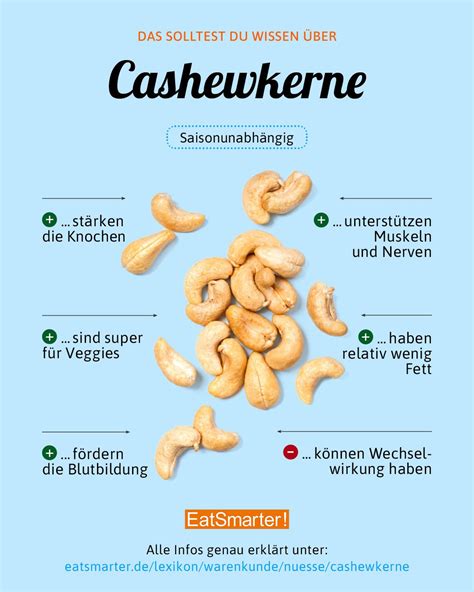 cashewkerne gesunde ernaehrung tipps gesunde nahrungsmittel gesunde