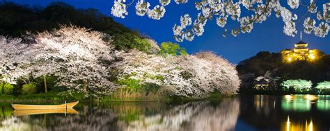 14 Day Pass Japan’s Best Of The West Cherry Blossoms Itinerary