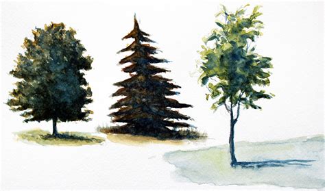 paint trees  watercolor