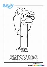 Bluey Snickers Chloe sketch template