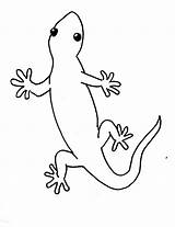 Gecko Geico Geckos Salamander Lizards Reptile Animal Malvorlagen Samanthasbell sketch template