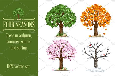 seasons set decorative illustrations creative market
