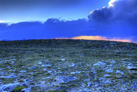 arctic tundra sunset  rocky mountains national park colorado image