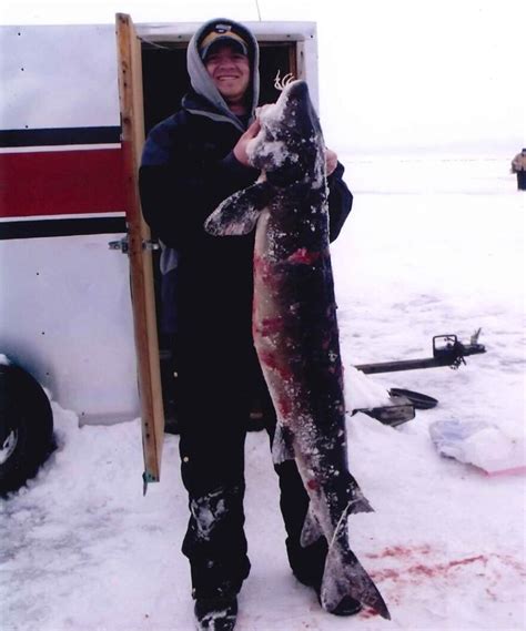 as global lake sturgeon populations collapse wisconsin s rich spearing