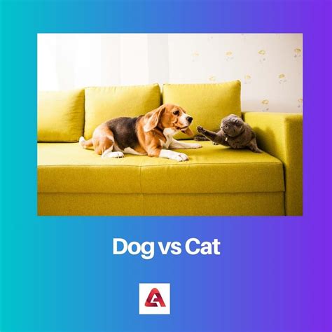 dog  cat difference  comparison