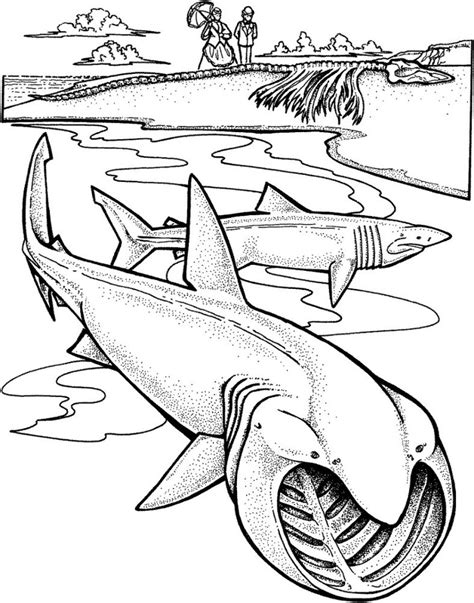 shark coloring pages prehistoric shark coloring pages shark coloring