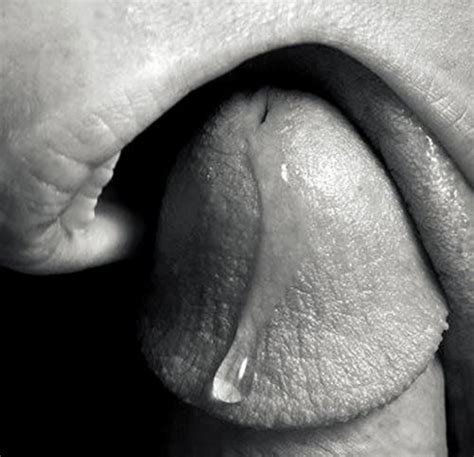 licking precum tumblr