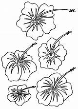 Flower Coloring Hibiscus Pages Hawaiian Printable Drawing Kids Flowers Print Color Luau Tropical Colouring Hawaii Book Getcolorings Bestcoloringpagesforkids Line Party sketch template