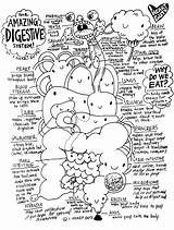 Digestive Anatomy Guts Physiology Biology Rectum Bones Organs Path Simply Iheartguts Endocrine Comic Animal Koibana sketch template