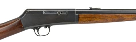 remington  auto rifle  xxx hot girl