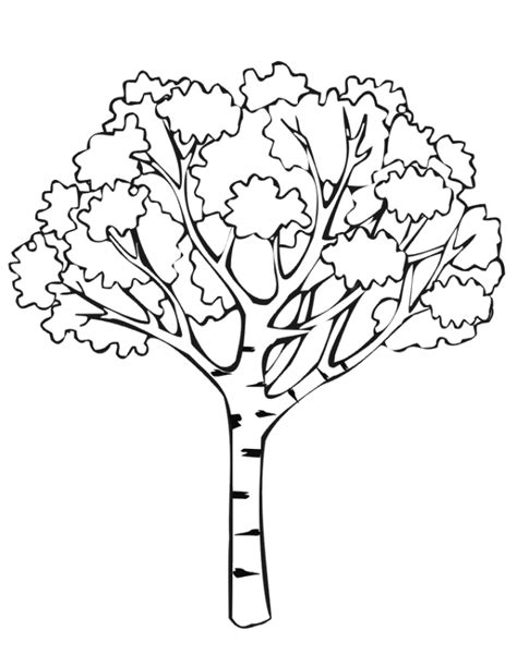 kapok tree coloring page coloring home