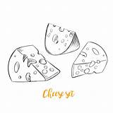 Cheese Sketch Vector Handdrawn Set sketch template