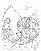Nautilus Coloring Designlooter Relief Stress Relaxing Shell Adults Ocean Plants Fish Fantasy Printable Digital sketch template