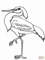 Heron Coloring Pages Wading Printable Blue Color Tablets Ipad Compatible Android Version Click Online Getcolorings Hurry sketch template