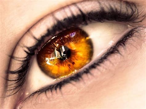 Pin By Chris Urena On Eyes Gold Eyes Aesthetic Eyes Eye Color