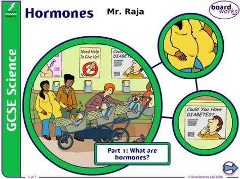 Gcse Hormones Pt 1 Teaching Resources
