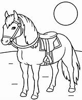 Topcoloringpages Saddled sketch template