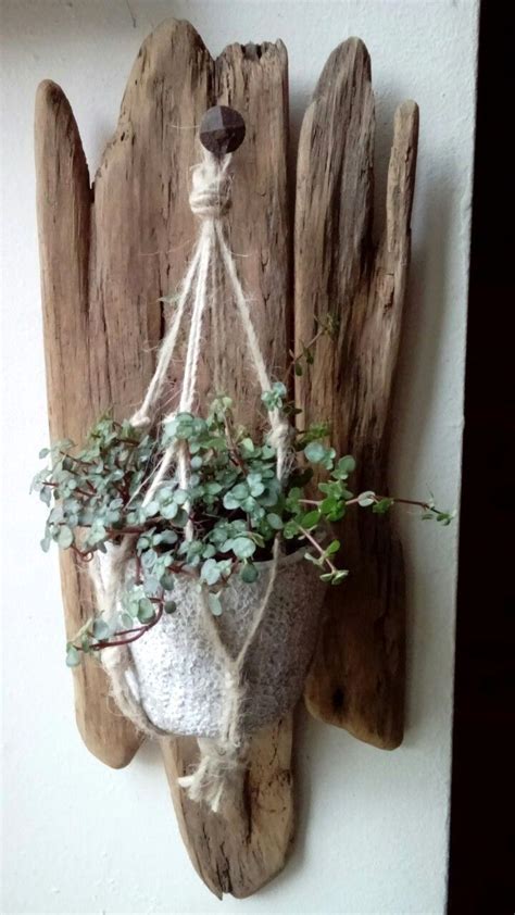 indoor hanging planter driftwoodprojects   hanging planters