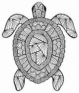 Tortue Turtle Zen Coloriages Beau Difficile Incroyable Tortues Benjaminpech Inspirant 101coloring Aboriginal Adulte sketch template