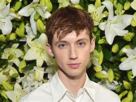 Troye Sivan Spars With Lgbt Journalists Over Coverage About Sex Life