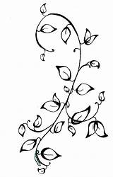 Vine Flower Drawing Drawings Tattoos Vines Tattoo Clipart Flowers Ivy Clipartkid sketch template