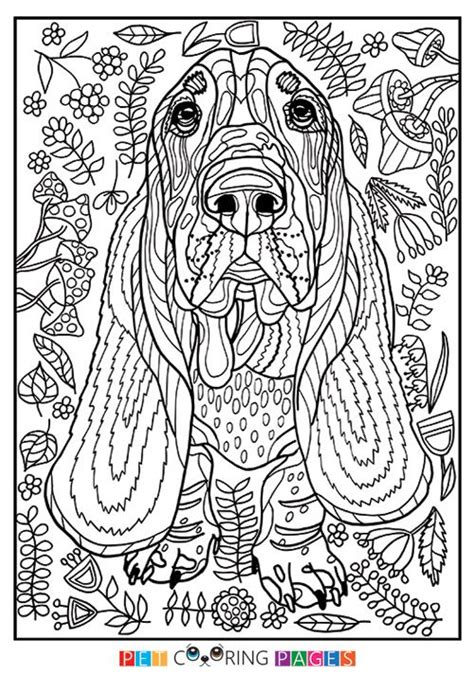 printable basset hound coloring page