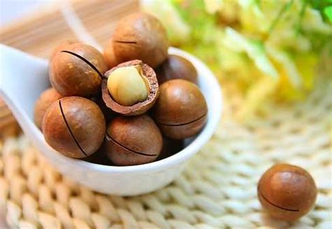 types  nuts  nut varieties  pictures  names