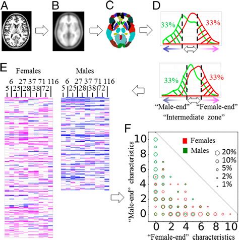 Sex Beyond The Genitalia The Human Brain Mosaic Pnas