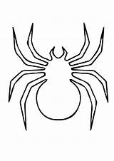 Spinne Ausmalbilder Ausmalbild Malvorlagen sketch template