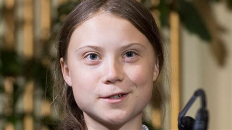 greta thunberg issues rallying cry  facebook  lies death threats huffpost impact