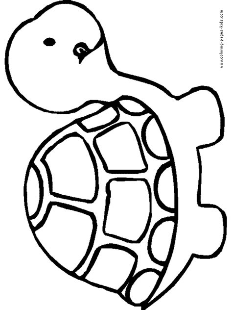 simple turtle color page turtle coloring pages animal coloring pages