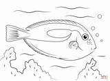 Coloring Pages Fish Tang Blue Trout Rainbow Tropical Drawing Printable Supercoloring Template Print Sketch Color Kids Ocean Flying sketch template